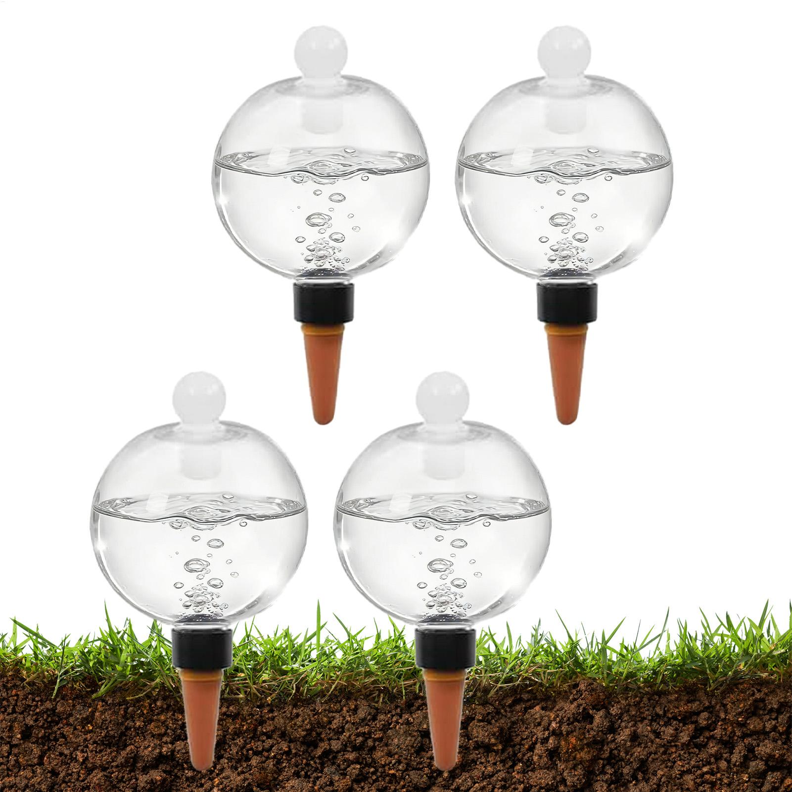 Plant Watering Bulbs 4pcs 500m - Echeveria Succulent recension och pris